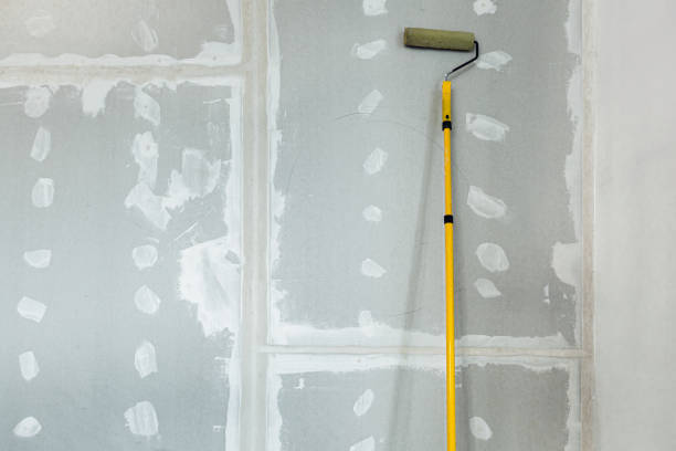 Mold Odor Removal Services in Carey, OH