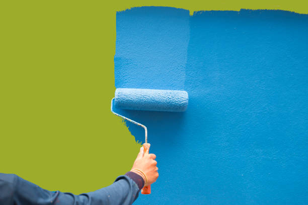 Best Biohazard Mold Removal  in Carey, OH